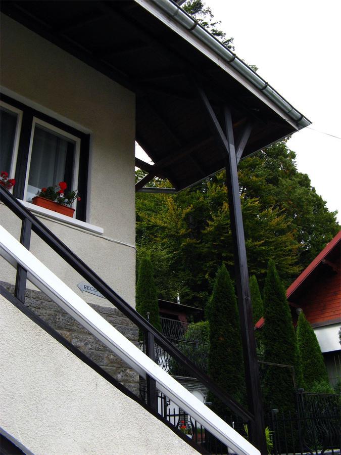Vila Gabriel Sinaia Eksteriør billede
