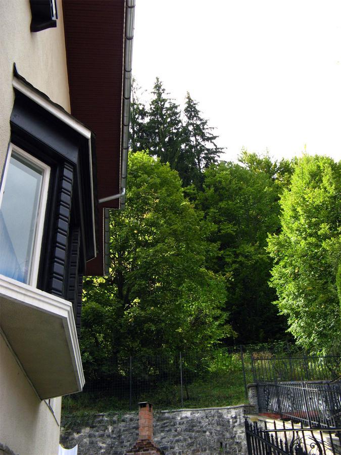 Vila Gabriel Sinaia Eksteriør billede